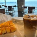 오베르망 이미지