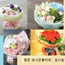 필미즈의원 이미지