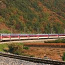 H4556 네이버블로그