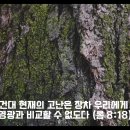 [성경필사] 비 준비하시니 _ 2024.07.21 _ 월요일에 주신 말씀 이미지