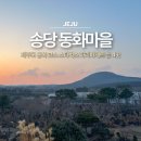 성산사거리~월평마을입구 | 제주도 동쪽 코스 송당 동화마을 겨울에도 가볼만할까? 스타벅스 파리바게트 등 4곳