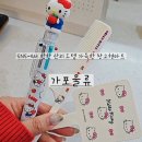 주식회사 가포생활건강 | [창원/마산가포] 없는게 없는 창고형 대형 할인매장 &#39;가포물류&#39; (+요즘 핫한 산리오 아이템)