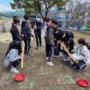 나무와중학교 이미지