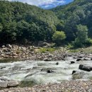 왕피천 숲속 캠핑장 이미지