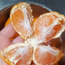 나연농장 이미지