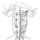 박창언 동물병원 이미지