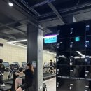 혜성헬스 | 사당역 스포애니, PT 득근 맛집 사당역 헬스장! 노혜성 트레이너 찐 PT 후기 및 최신 기구 라인업 🔥
