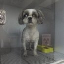 파란종합 동물병원 이미지