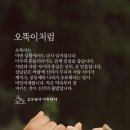 ㅡ아름다운 인연 ㅡ긴 이야기 이미지