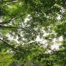 A&J오토캠핑장 이미지