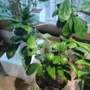 남희농장 이미지