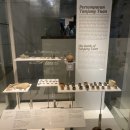 주식회사 멜라카 이미지