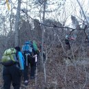 양림농장 이미지