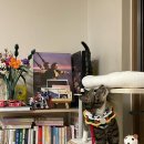 호야야스토어 | 민.행.시🔥