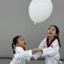 피어나라 태권도 이미지