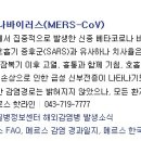 365성모가정의학과의원 티스토리