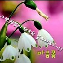 명성과실(名聲過實) 이미지