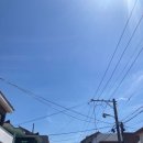 [제주카페] 음악이 좋은 카페 제주 일도이동 공생 핸드드립 카페 내돈내산 방문 후기