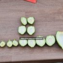 성숙농장 이미지