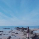 보령여행 보령가볼만한곳 - 청소역, 청천저수지, 황해원, 대천해수욕장, 대천 짚트랙, 해동카페, 대천...