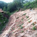 송왕농장 이미지