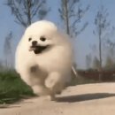 오리좋아