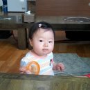 우리집갈비 이미지