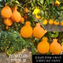 김근 농장 이미지