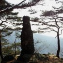 낙동면 비룡리 | [경북 상주] 새해 처음부터 몸과 마음을 홀랑 앗아간 갑장산 (甲長山, 해발 806m) 산행 - 2
