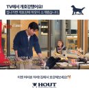 도그인 그레이 | 하웃 강아지 캠핑 침대, 실내외 만능 도그코트