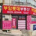 백양부동산공인중개사사무소 이미지