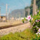 아람달 농촌체험휴양마을 이미지