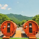 세계냉난방 | 청도 캠프스테이 수영장 키즈글램핑의 성지 솔직후기 - 할인정보