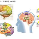 만물형제 이미지