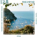 전남 고흥 여행에서 제일 추천하고 싶은 장소 고양이 섬이라고 불리는 쑥섬