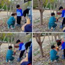 남창골농원 이미지