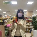 홍삼약초인삼사
