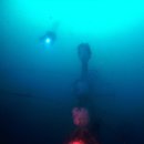 원장목장 이미지