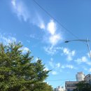 죽전고매점