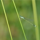 애기등 공원 이미지