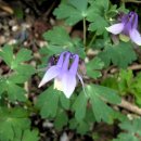 푸른소아청소년과의원 이미지