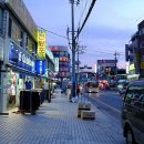 춘천골낙지닭갈비 네이버블로그