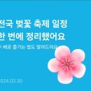 전국 벚꽃 축제 일정 이미지