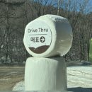 국내 일출 명소 추천 평창여행지 대관령 삼양라운드힐 솔직후기