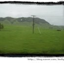 삼천목장 이미지