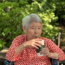 산책하는요양원 이미지