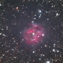 Cocoon Nebula 이미지