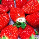 이경희농장 이미지