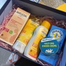 내원백운 | 출산 전 마지막 임신 기록(31주~38주)