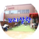 꼬리살랑 | 서울애견카페 용산애견호텔 꼬리살랑 방문후기♥